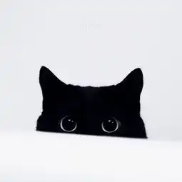 趣动画
