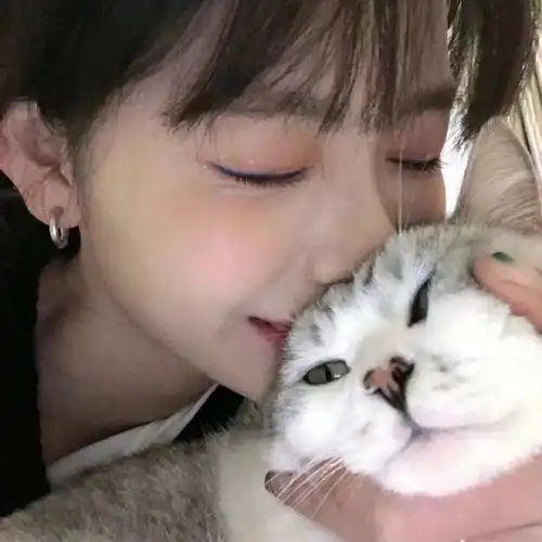 一组猫系女生头像,请签收
