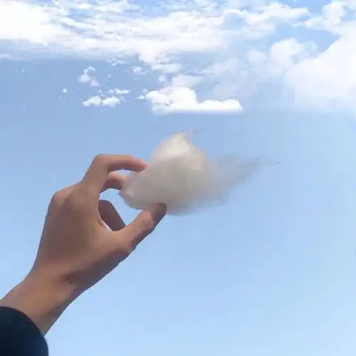 短鼻子的大象
