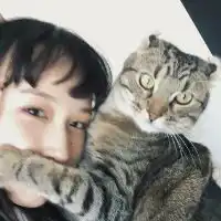 国外非主流抱猫头像微信头像图片大全
