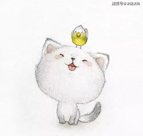 朋友圈让人笑喷的段子
