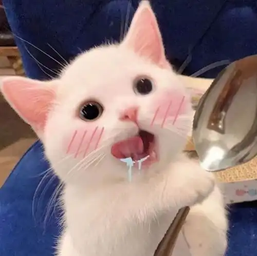 servlet生命周期概述
