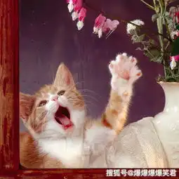 爆笑段子带儿子出去玩,儿子太顽劣,旁边的人说他没家教
