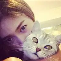情侣头像两人抱着猫咪微信头像图片大全
