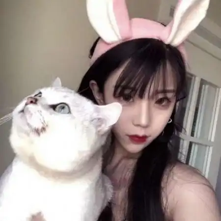 女生抱猫头像,女生抱猫头像真人
