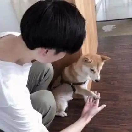 男生真人微信头像,不怕这世间的孤独的男生
