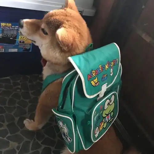 可爱萌系头像
