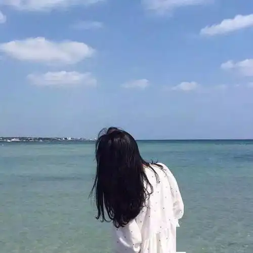 日子有些沉闷,还好跑起来有风萱草

