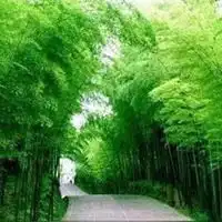 风景qq头像图片大全集qq头像风景高清图片

