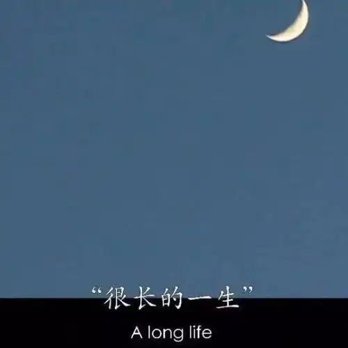 背景图︴现代人的崩溃,都藏在没事风景静物头像我要个性网
