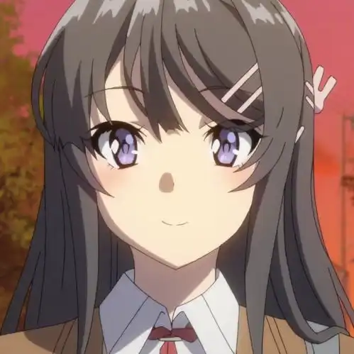 12月2日是青春笨蛋少年不做兔女郎学姐的梦樱岛麻衣的生日
