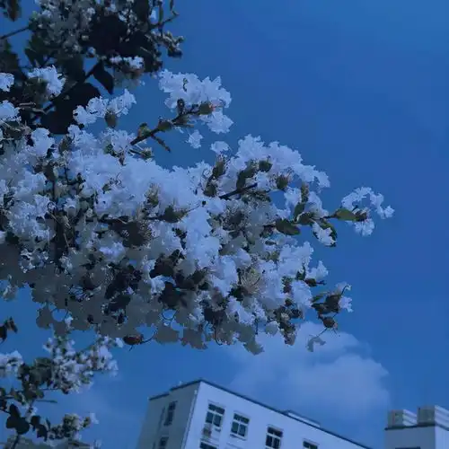 没有结局的故事太多,你要习惯相遇与离别
