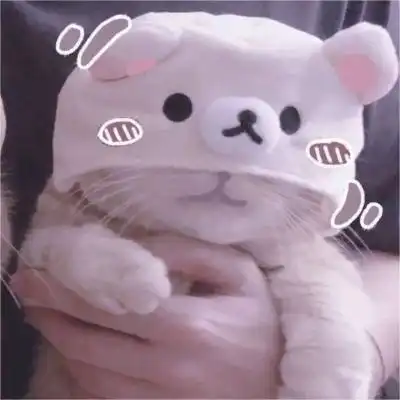 可爱又憨憨的头像,好看的憨憨头像图片
