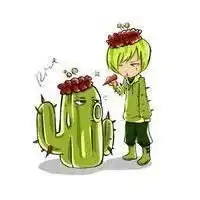植物大战僵尸头像名字微信头像图片大全
