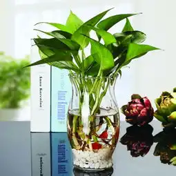 谁知道这种花盆在哪能买到
