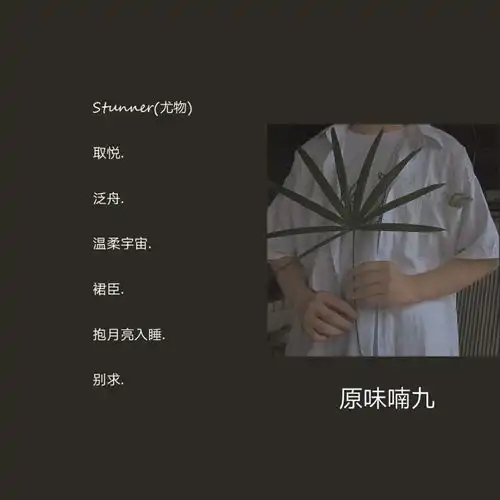 别具一格的ins风小众网名
