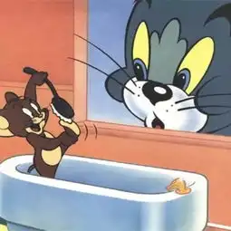 猫和老鼠之现实版
