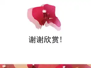 三角梅
