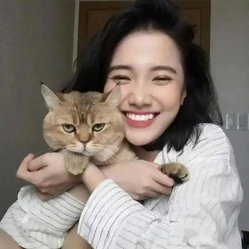 头像,抱猫女孩最温柔
