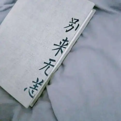 好看的背景图每天一换
