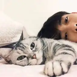 可以求个带猫的情侣头像么真人的不要动漫
