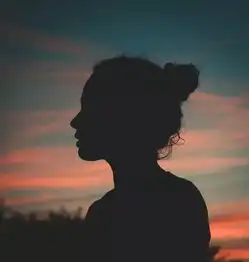 诗人黄昏所见
