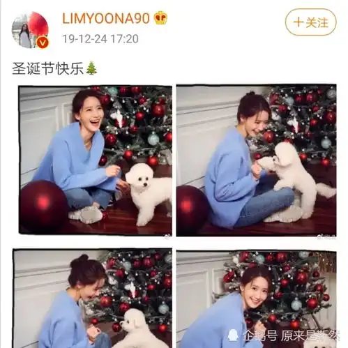 有一种追星叫林更新,黑粉无疑,林允儿拉黑警告
