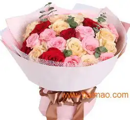 全国销量领先的中国鲜花礼品网,中国鲜花网认准品牌,全国销量领先的中国鲜花礼品网,中国鲜花网认准品牌生产厂家,全国销量领先的中国鲜花礼品网,中国鲜花网认准品牌价格

