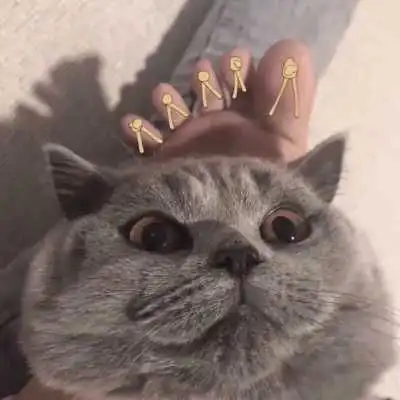 猫的情侣头像一左一右一对两张不带人猫咪情侣头像
