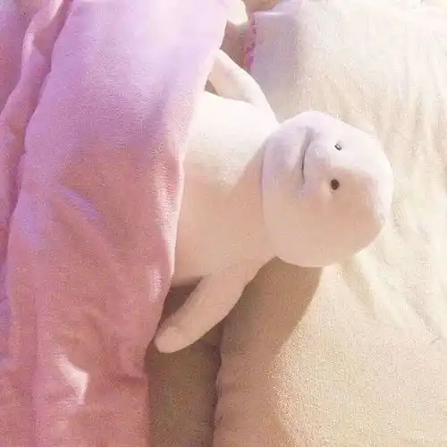 粉色少女系朋友圈背景图
