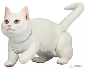 小声说一句我兜里有猫,你吸吗

