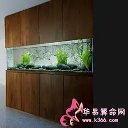 办公室养鱼有哪些风水讲究
